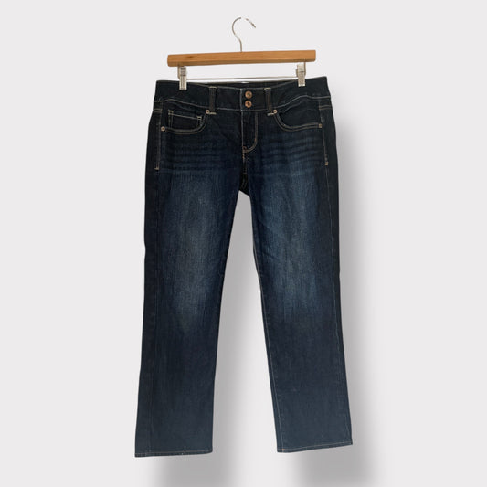 Y2k American Eagle Low Rise Artist Crop Dark wash size 6