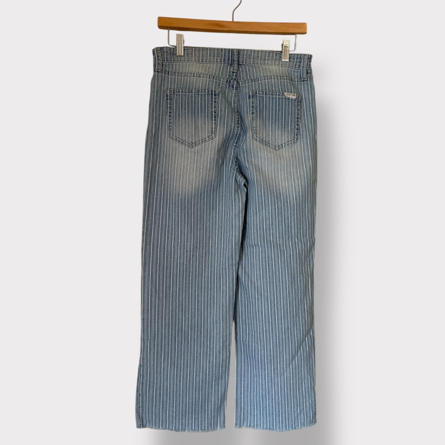 Joes Jeans pinstriped mom capri size 29